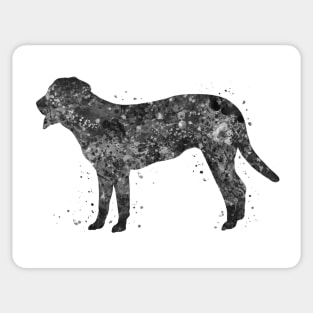 swiss mountain dog black and white art Sticker